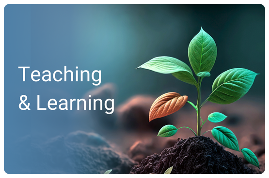 Seed Fund Teaching & Learning - Unite! University Alliance for ...