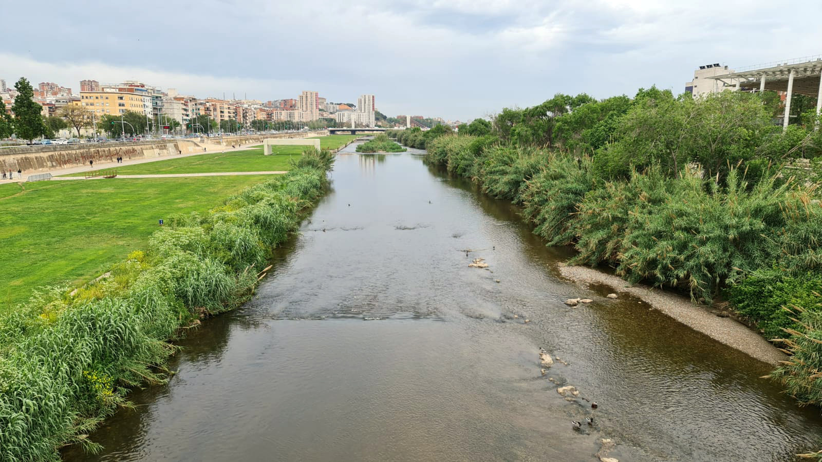 View of the Besòs riverbed