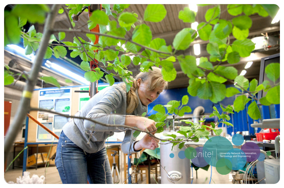 See larger image Picture of a researcher working with a branch full of green leaves
