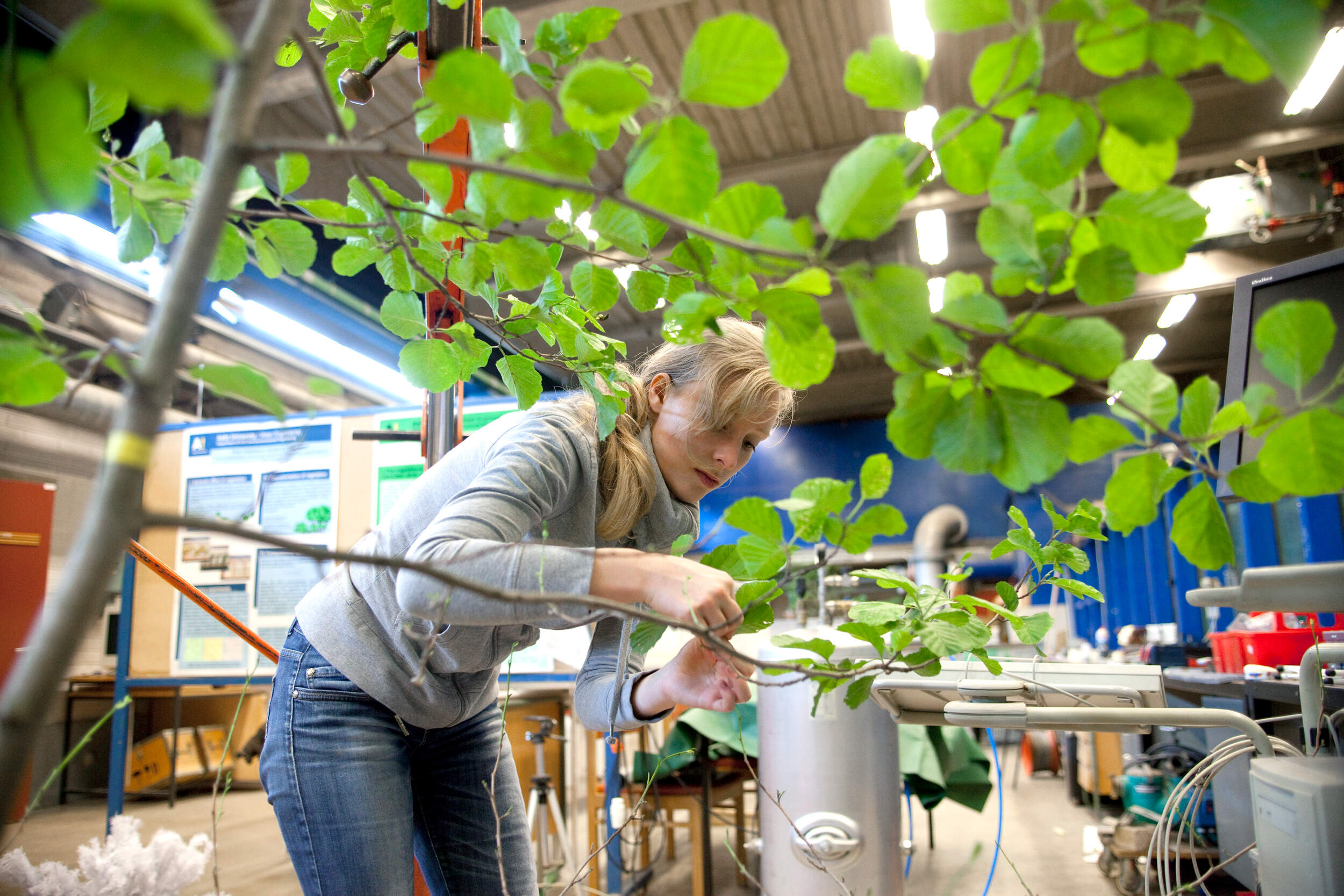 See larger image Photo by Adolfo Vera