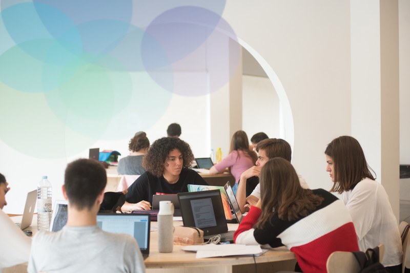 Students working at the university library