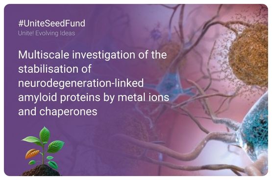 See larger image Promotional image of the Unite! seed fund project dedicated to multiscale investigation of the stabilisation of neurodegeneration-linked amyloid proteins by metal ions and chaperones