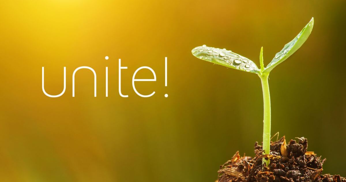Unite! Seed Fund project
